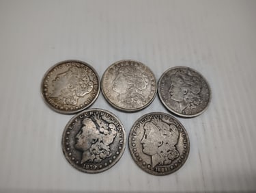 (5) morgans