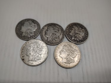 (5) morgans