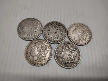(5) morgans
