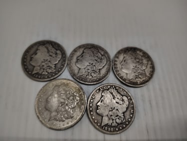 (5) morgans