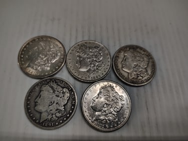 (5) morgans