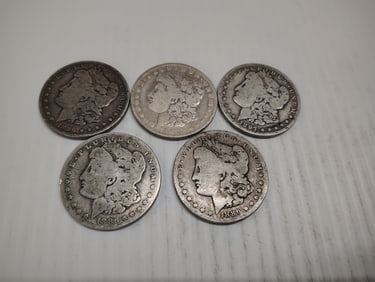 (5) morgans
