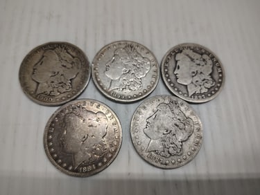 (5) morgans