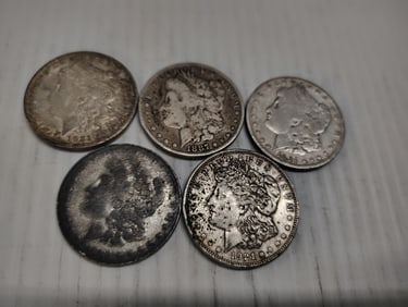 (5) morgans