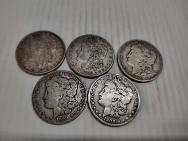 (5) morgans