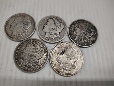 (5) morgans