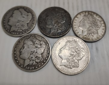 (5) morgans