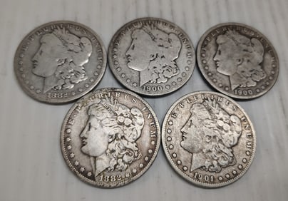 (5) morgans