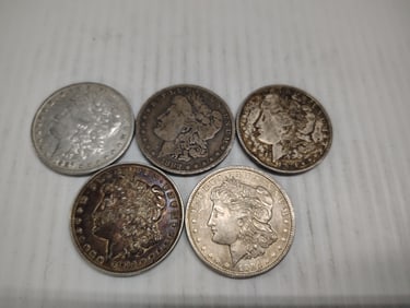 (5) morgans