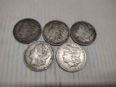 (5) morgans