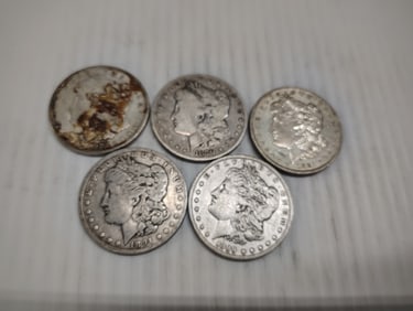 (5) morgans