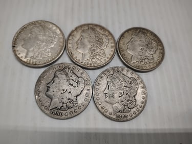 (5) morgans
