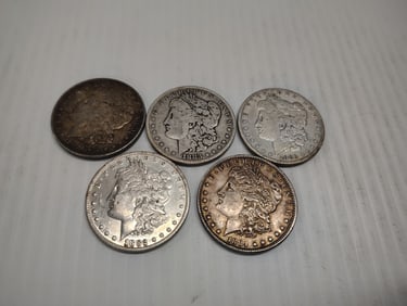 (5) morgans