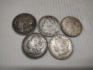 (5) morgans