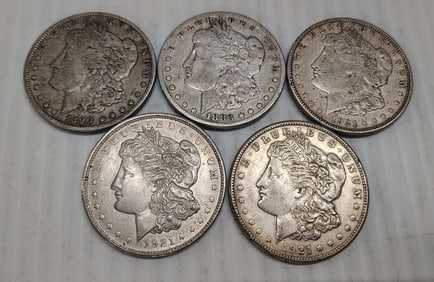 (5) morgans