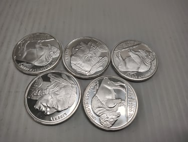 (5) silver rounds