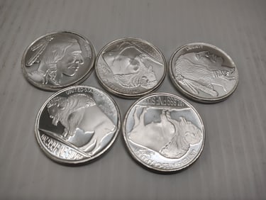 (5) silver rounds