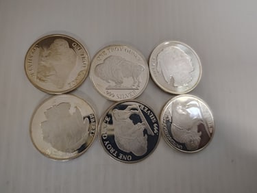 (6) silver rounds
