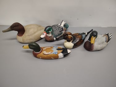 Ducks