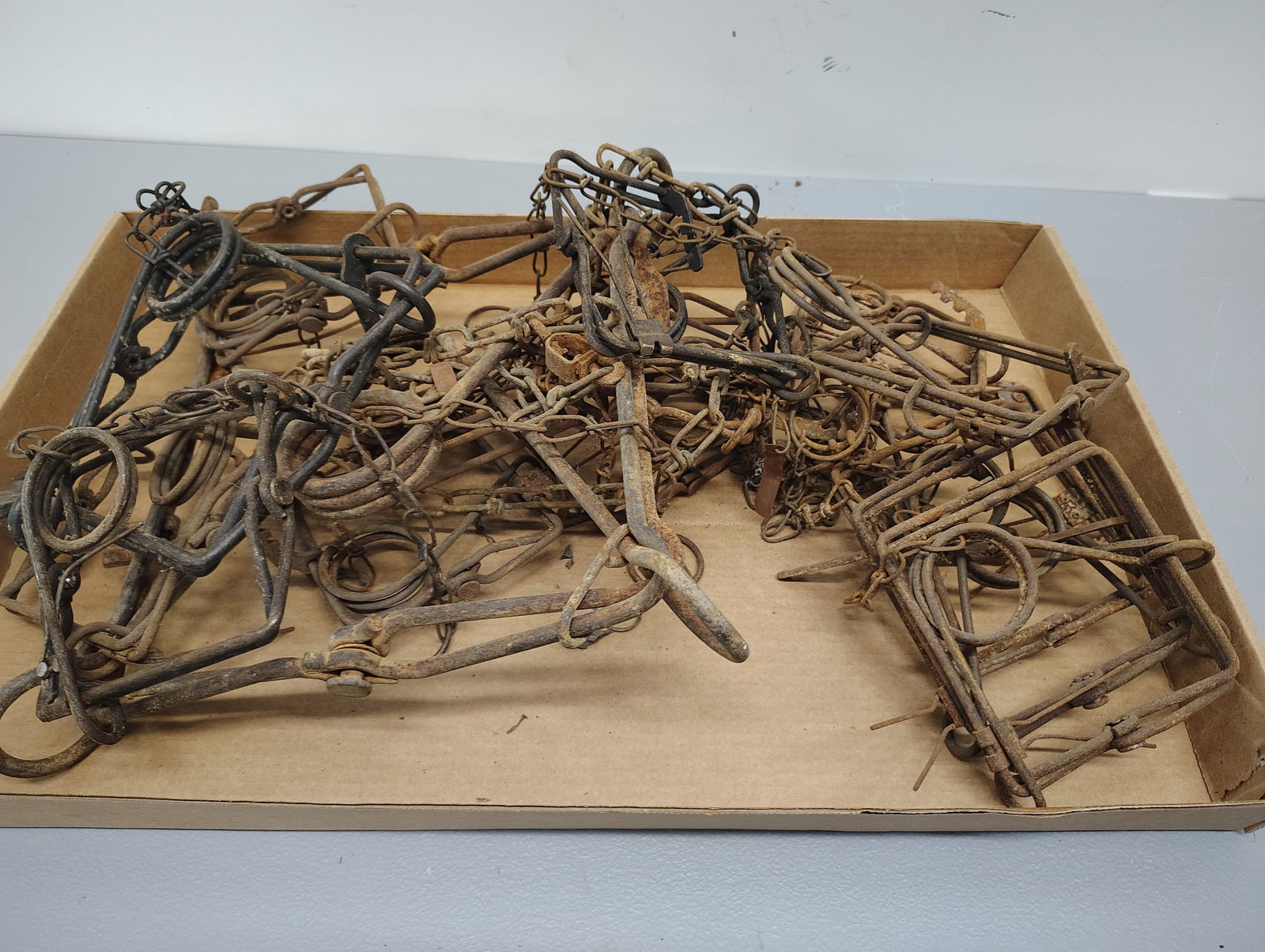 Traps: 14 conibear traps