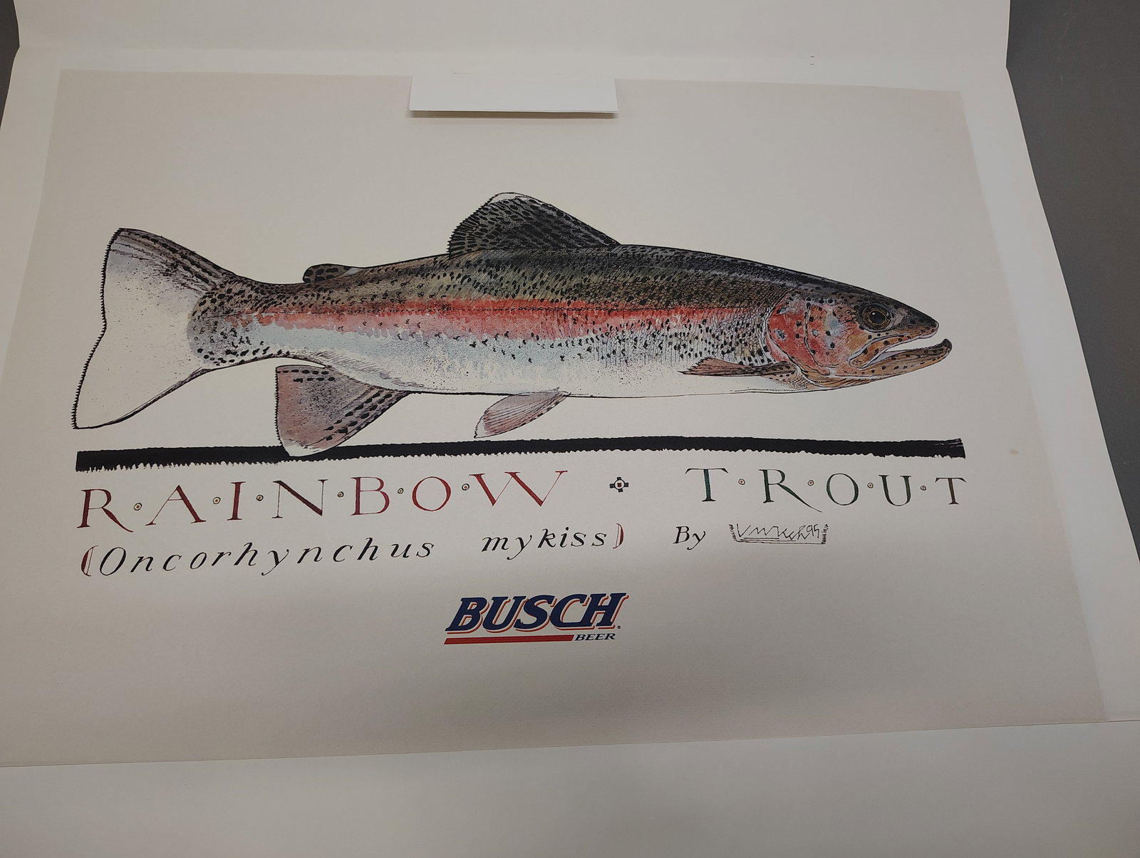 limited edition prints: (5) copies of Busch Beer rainbow trout "Fall Rainbow" by Donny Frinley - signed and numbered "Largemouth Bass"- Terry Doughty