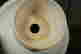 item-131673409=10