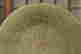 item-131673412=6