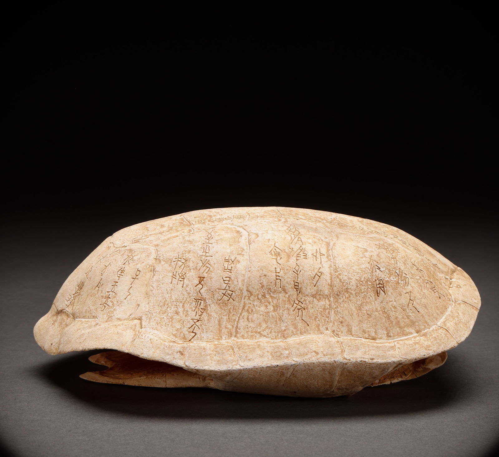 Before the Ming Dynasty, bone, oracle bone, turtle shell (1 of 8)