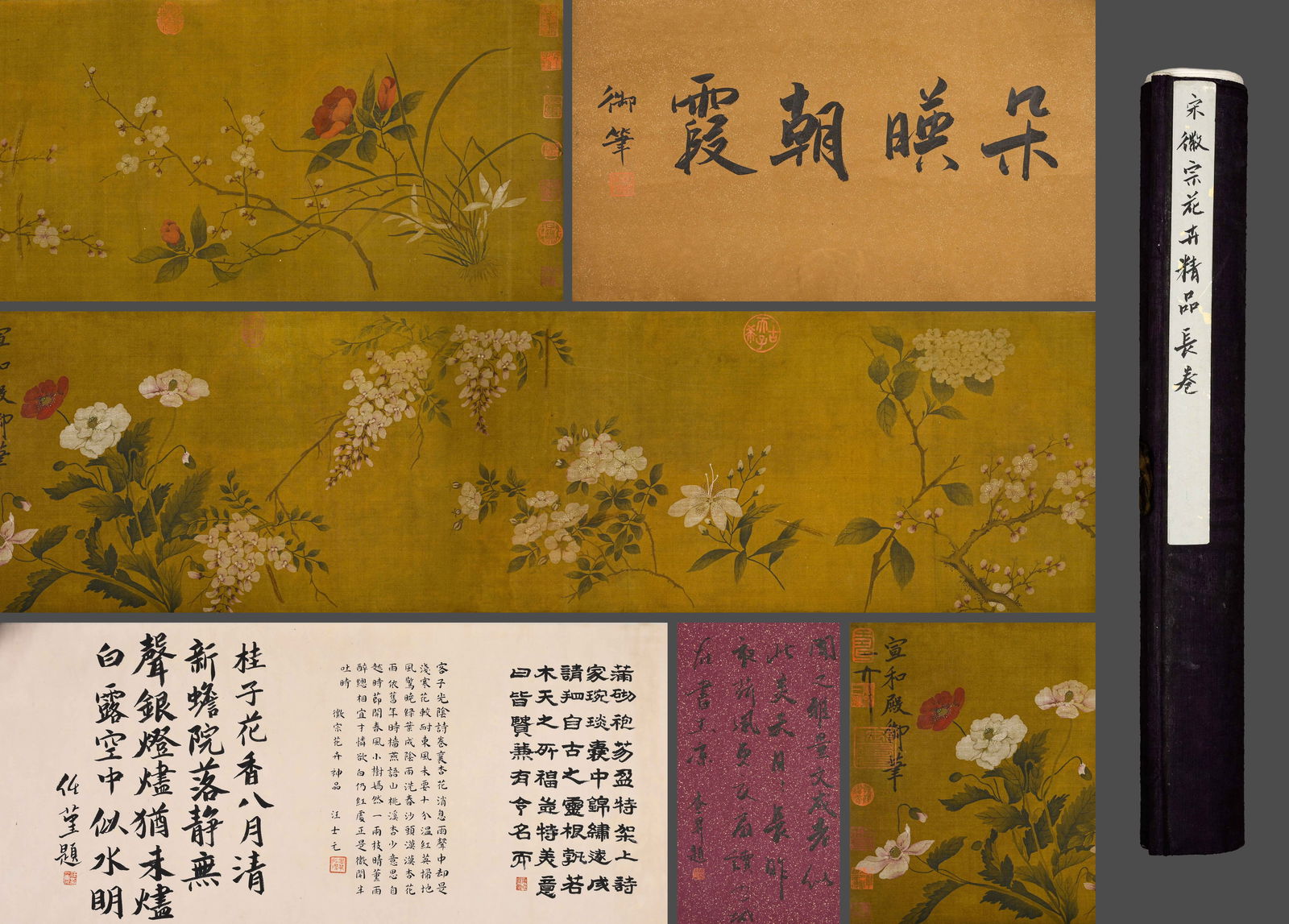 Silk Manuscript of Flower Paintings by Emperor Huizong of the Song Dynasty in Ancient China: Length: 385cm, Width: 33cm,