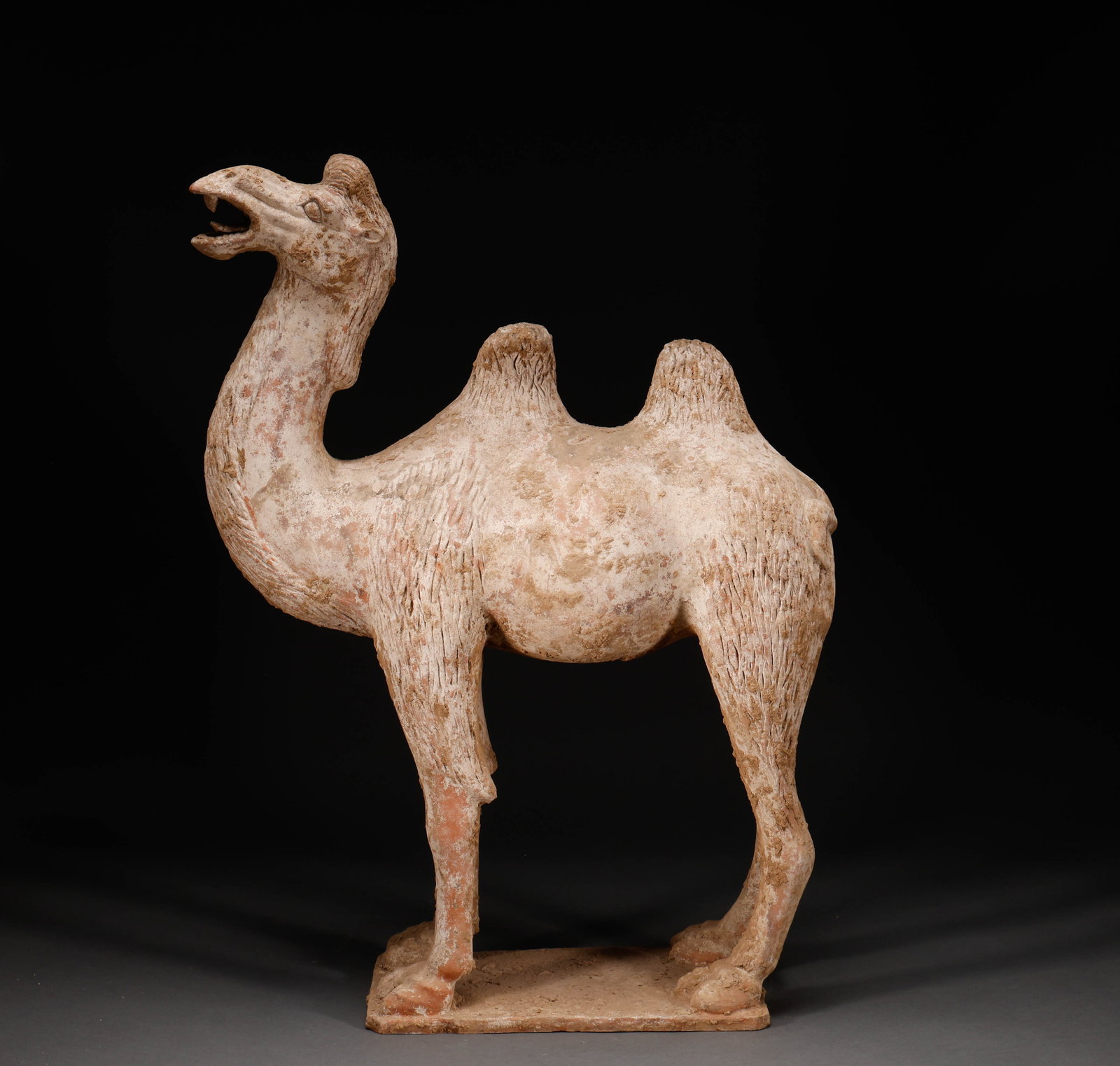 Before the Ming Dynasty, pottery camels were made: Height: 73cm, width: 57cm, weight: 13293g