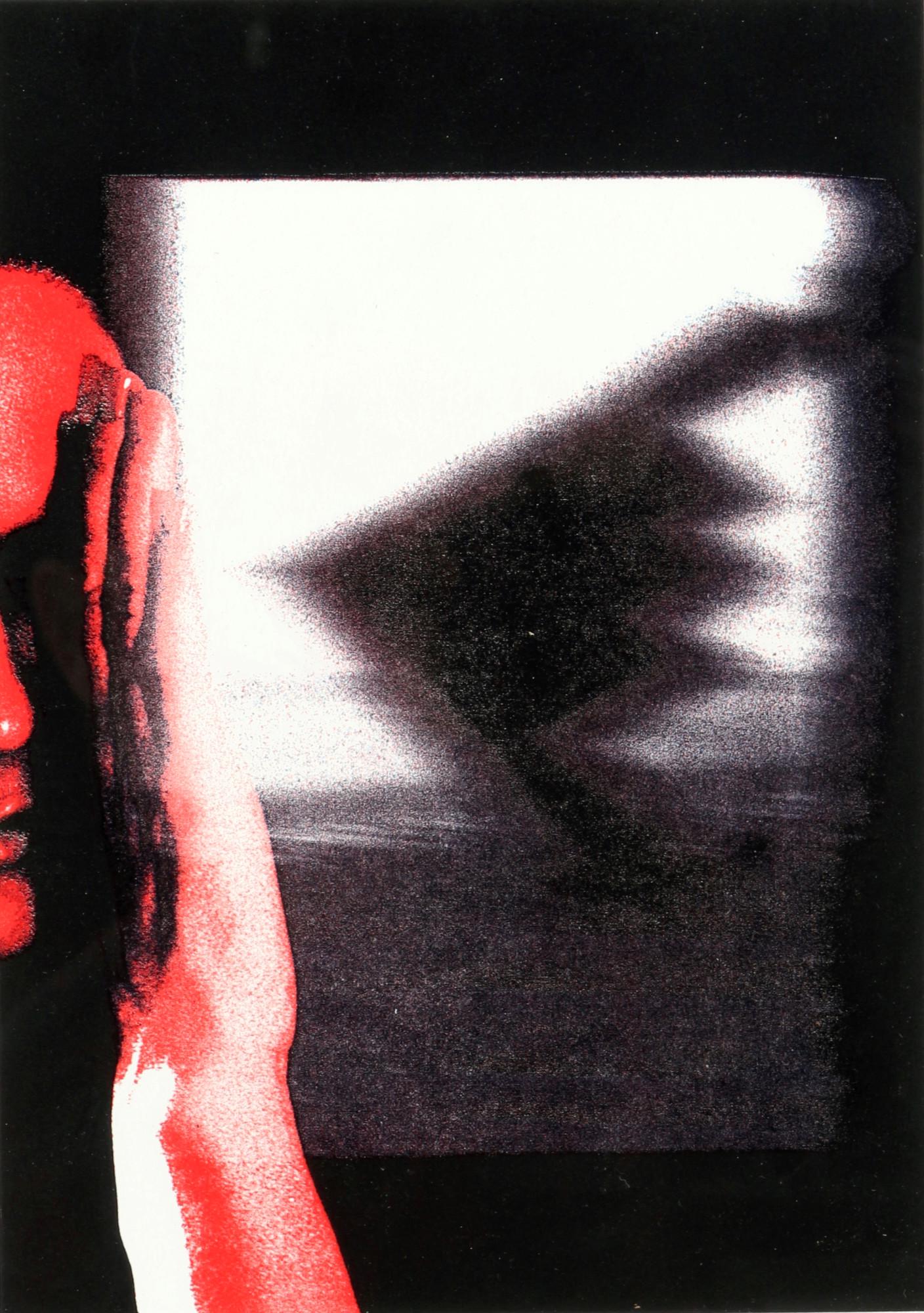 Katharina Sieverding (1944) half-portrait from 2000, abstraktes Halbportrait,: color offset/paper, signed and dated Sieverding 2000 on reverse, limited edition 6/10, half portrait in red and black, sheet size H 29.5 cm x W 21 cm, frame glazed 32.5 x 26.5 cm