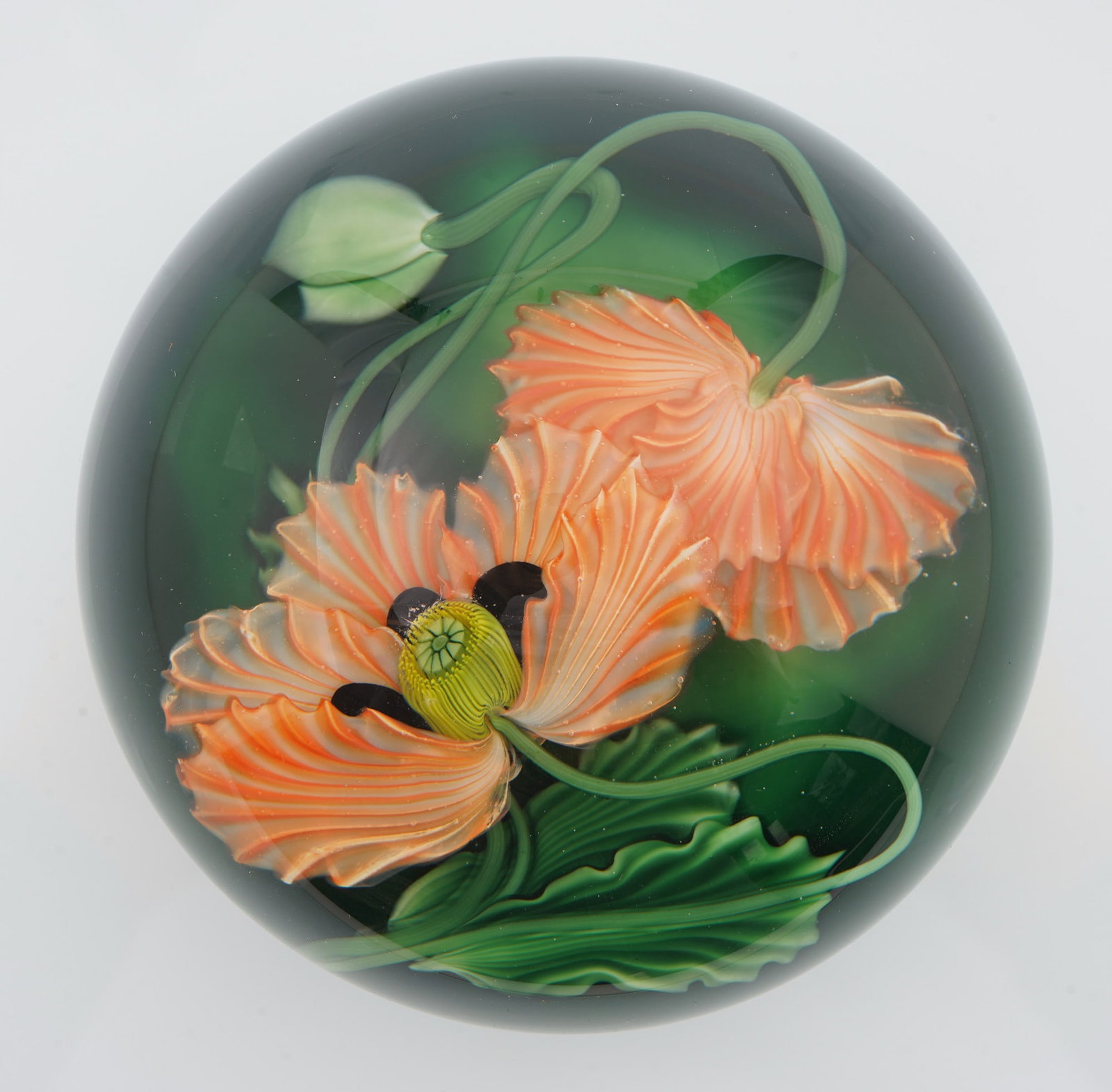 Steven Lundberg Large Paperweight Orange Opium Poppy on Jade (1 of 5)