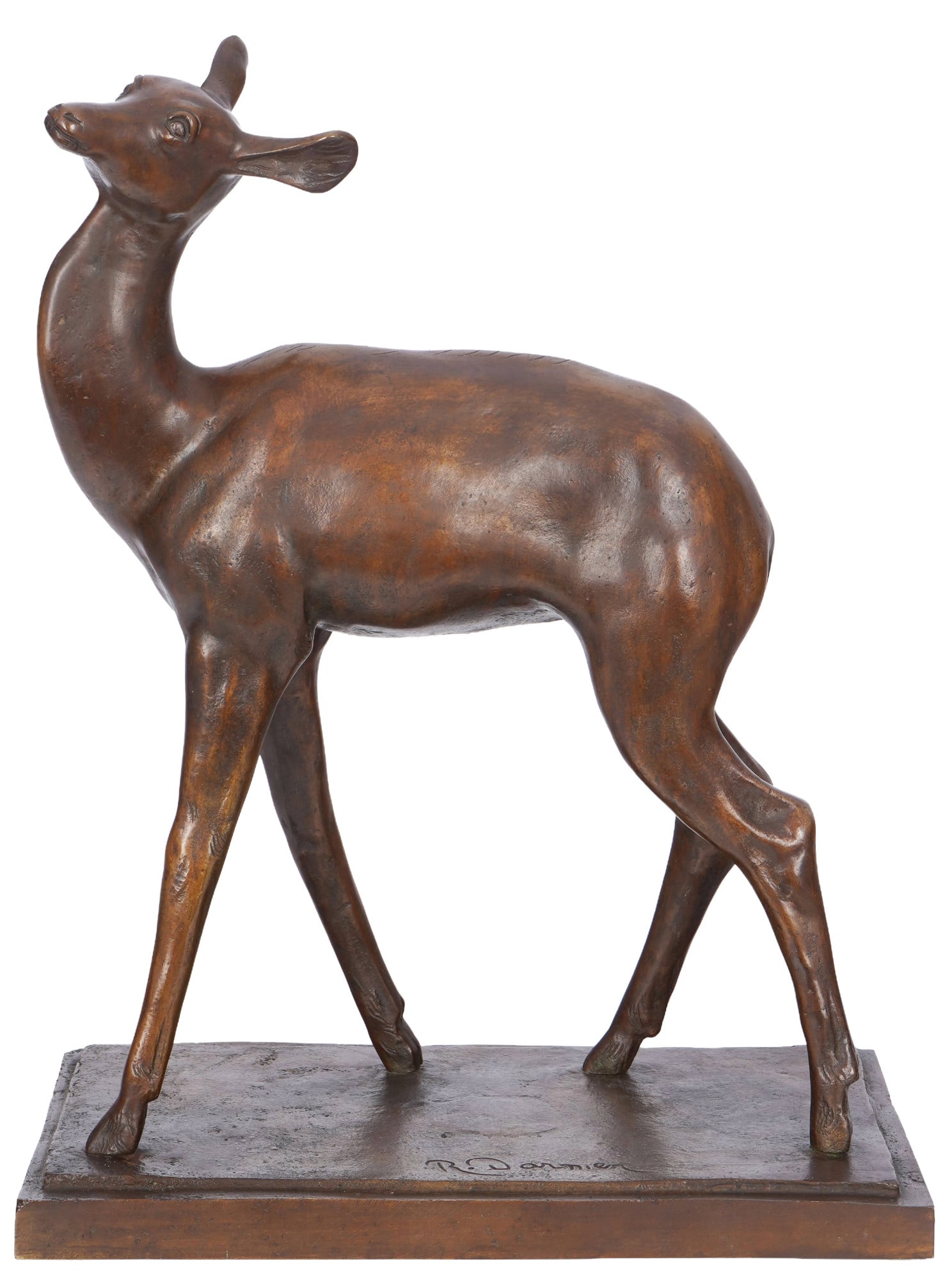 R. DARNIER - Bronze young deer, France around 1900 (1 of 5)