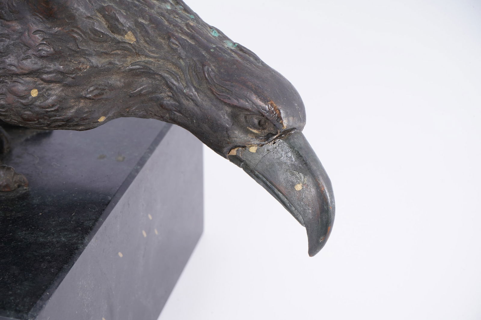 Large bronze eagle on a marble base, - 7