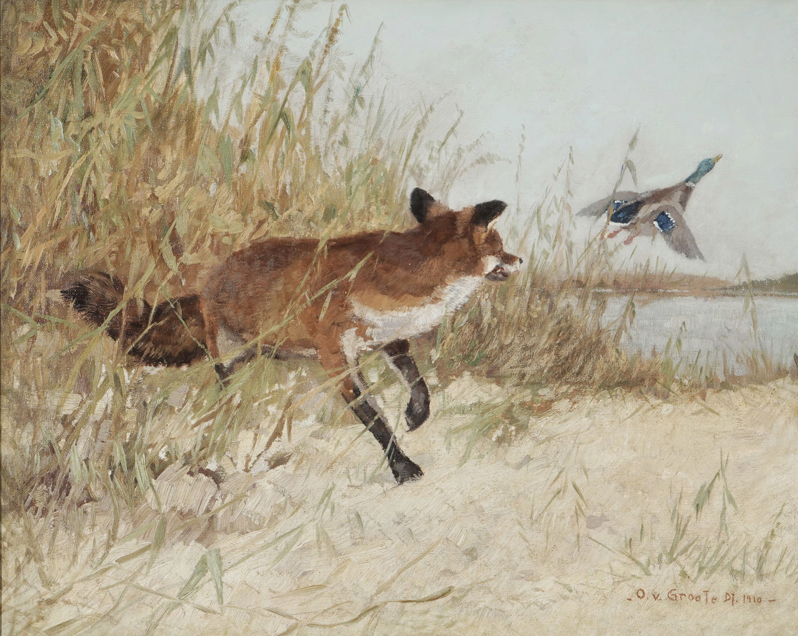 Otto VON GROOTE (1883-1943) Hunting Scene - Fox with Duck Taking Flight 1910, (1 of 5)