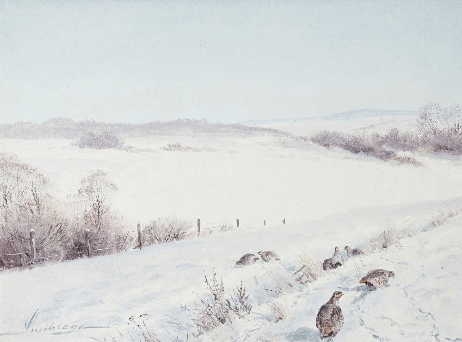 Helmuth SNETHLAGE (1925-2011) Partridges in the Snow, (1 of 6)
