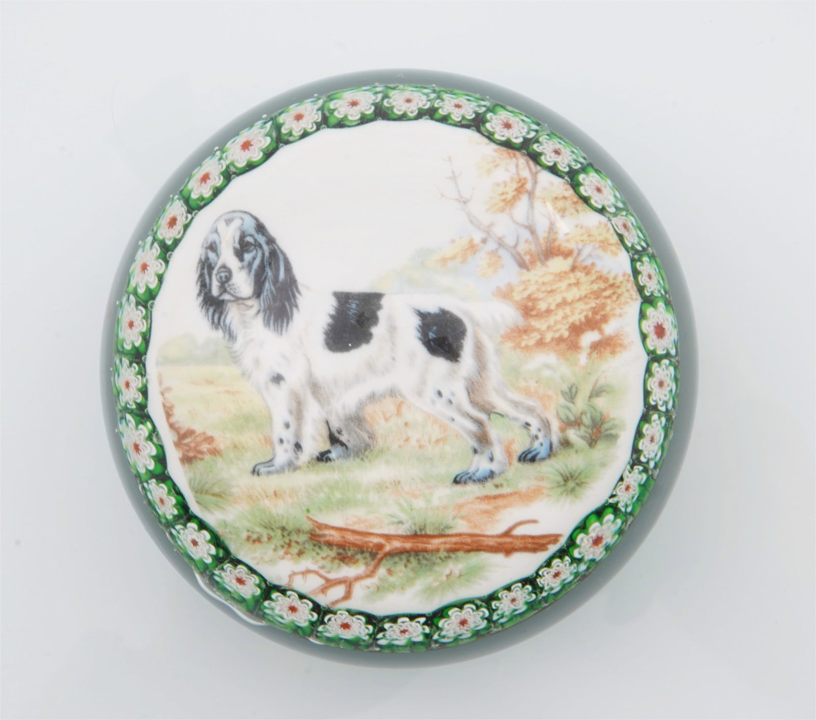 Murano Collection - 8 Paperweights - 6