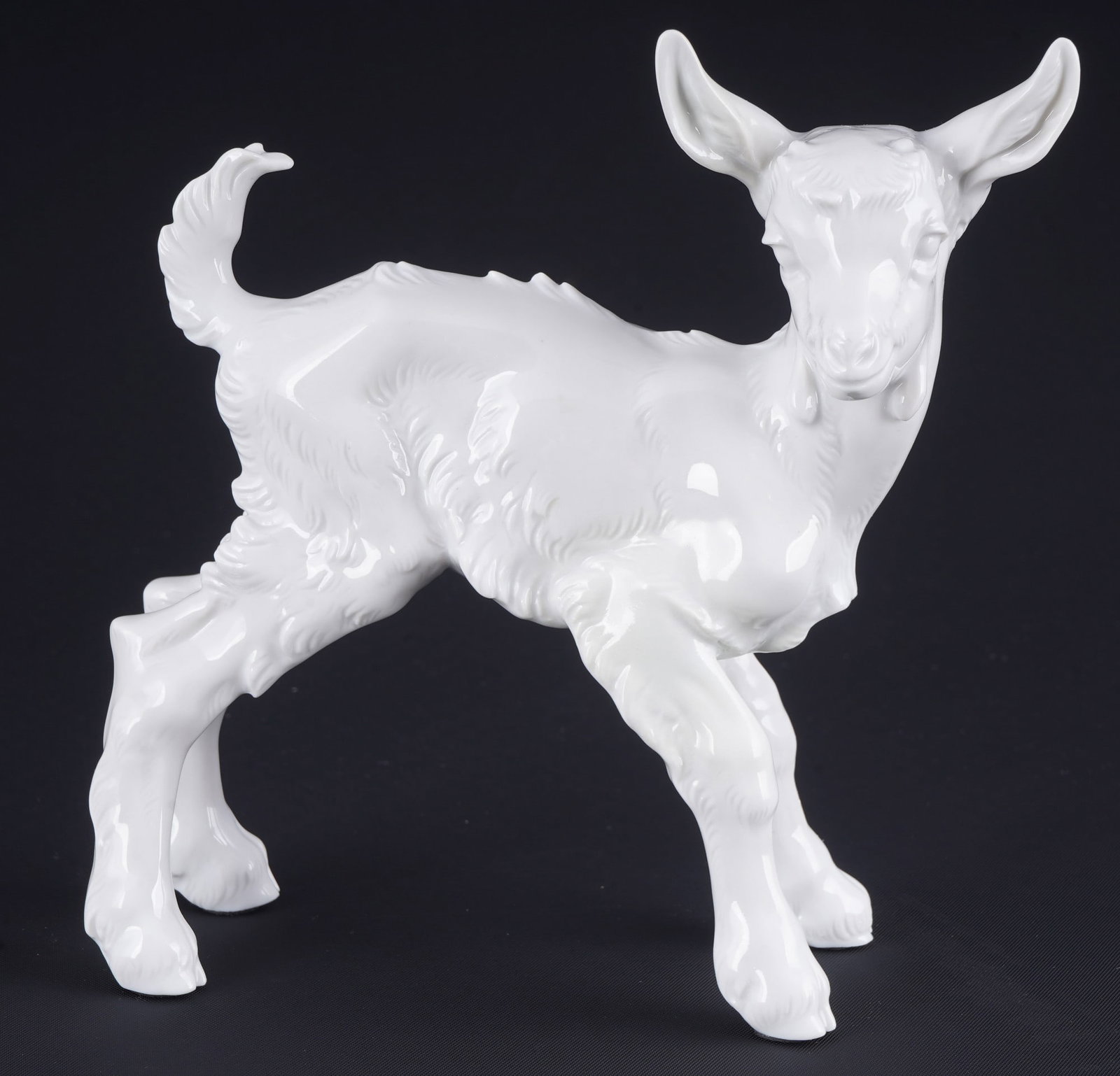 Allach goat kid - Th. KaeRNER, (1 of 6)