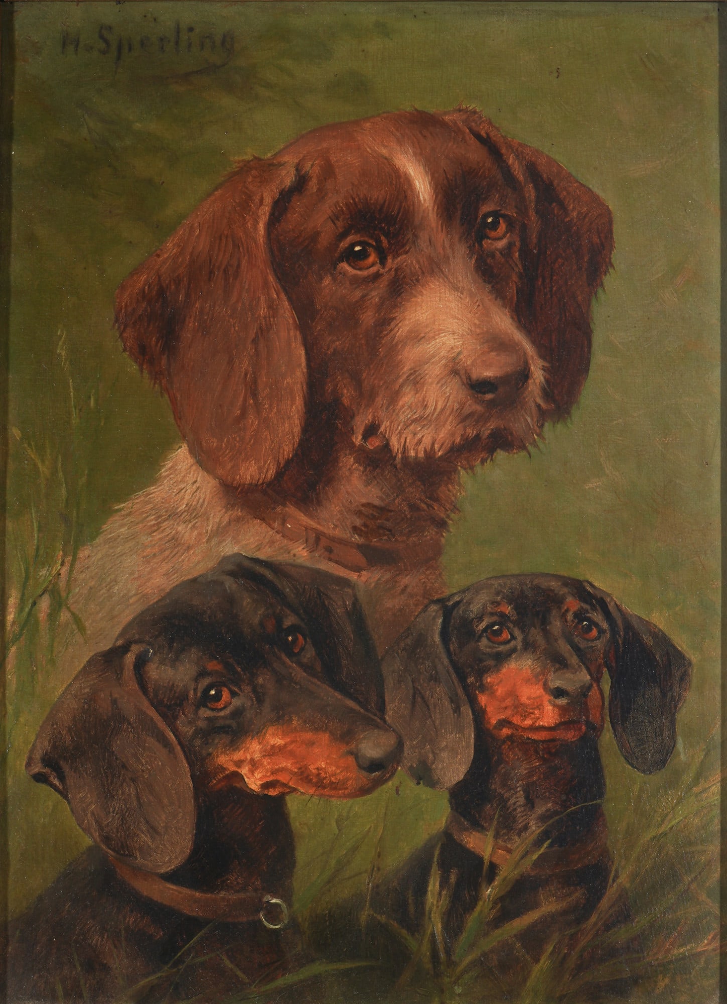 Heinrich Sperling (1844-1924) Dogs - German Wirehaired Pointer and two Dachshunds, (1 of 6)