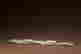 item-117865159=10