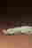 item-117865159=2