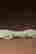 item-117865159=3