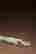 item-117865159=9