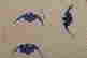 item-131412677=7