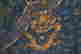 item-131621188=8