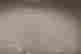 item-131621396=6