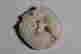 item-131621441=3