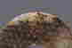 item-131621443=2