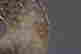 item-131621443=4