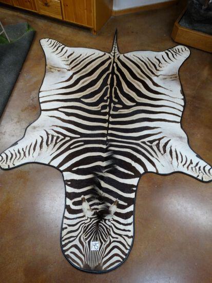 Awesome Large South African Chapman's Zebra Rug (1 of 6)